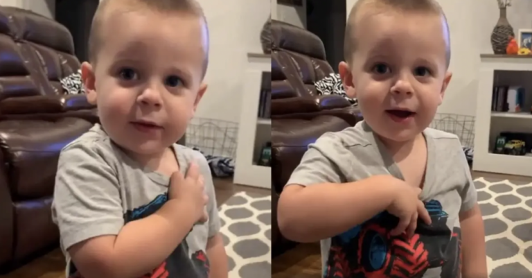 Toddler recites The Pledge of Allegiance, and it’s as cute as it is funny