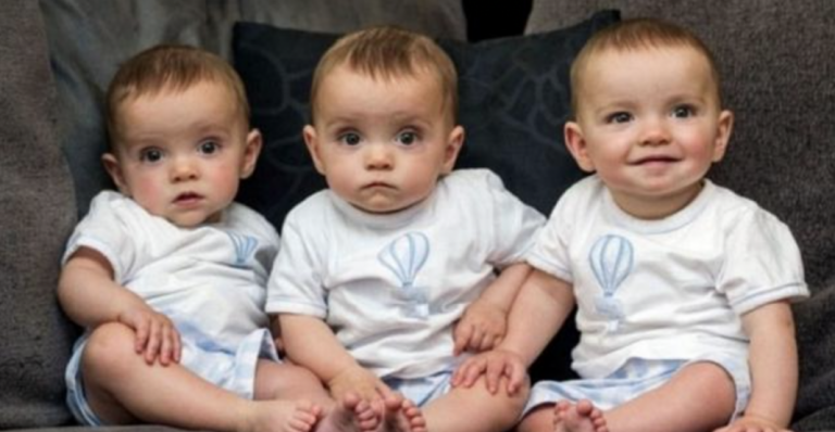 Absolutely identical triplets. They are already 7 years old: how the beautiful brothers grow up and look