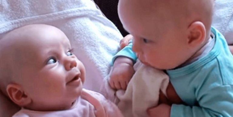 The internet exploded with laughter as they saw this adorable dialogue between babies. The video has over 20 million views!