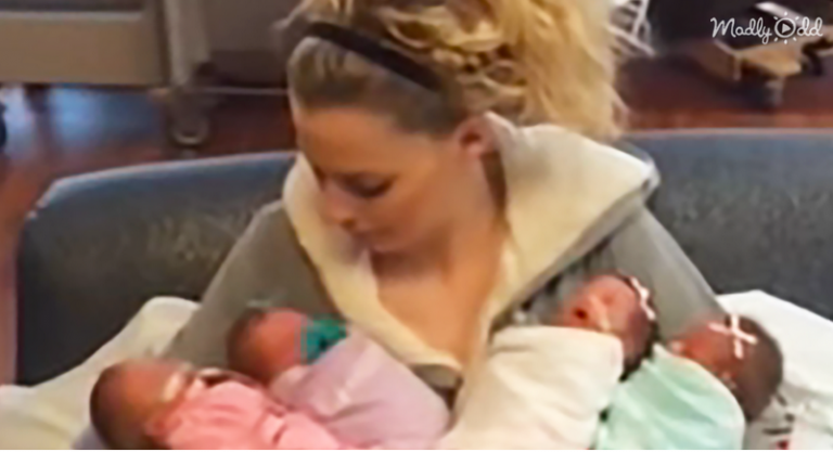 New Mom Holds All Her Quadruplets Together for The First Time