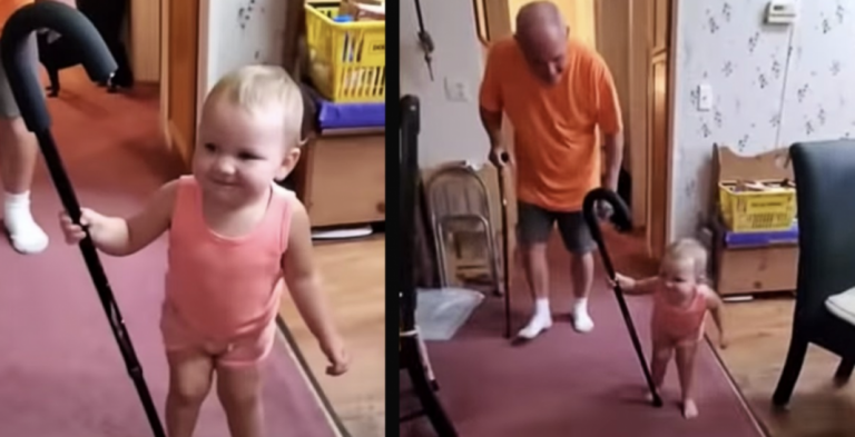 Baby Starts Walking Just Like Grandpa And Her Spot-On Impression Has Everyone Laughing