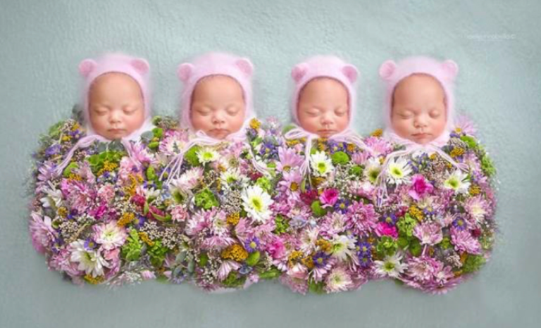 Absolutely identical quadruplets act as charming photo models