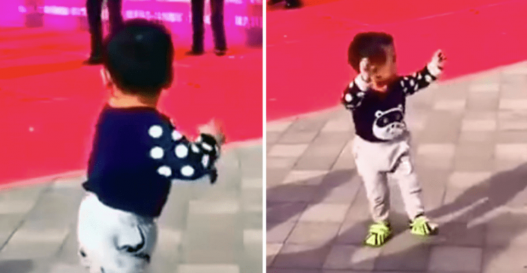 Toddler Dancing On The Sidelines Upstages The Actual Dancers