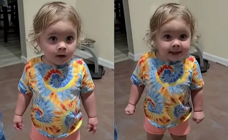 Adorable Toddler Keeps Arguing Back With Her Parents – She Made My Day!