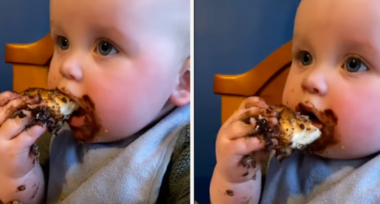 Baby Eating Chocolate Cake. He’s Just So Adorable