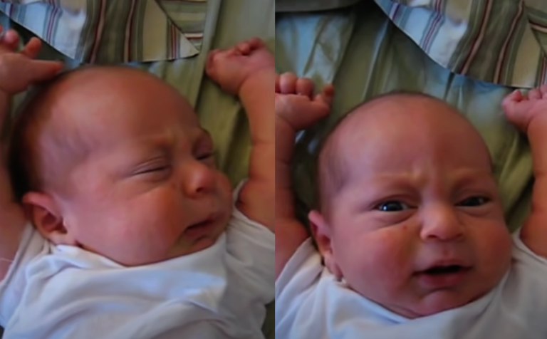 Morning Sunshine: Our Little Guy Wakes Up With A Yawn And Stretch