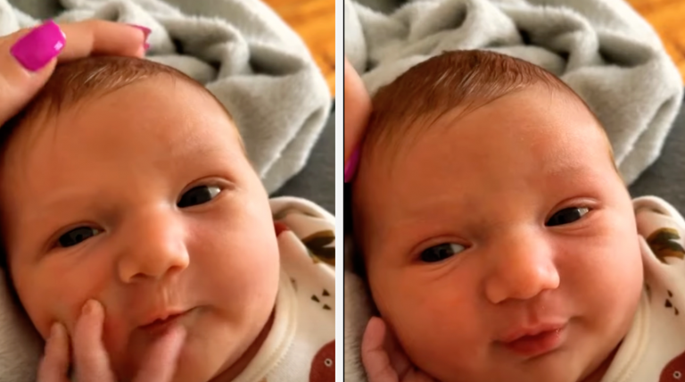 The Captivating Calmness of a Newborn Baby’s Face