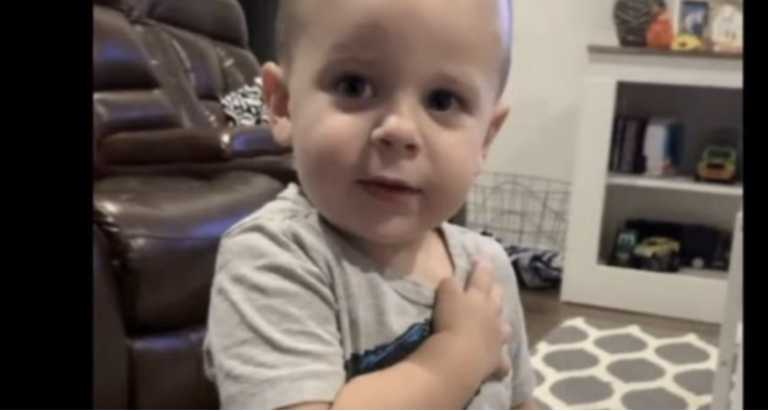 Little boy’s version of Pledge of Allegiance will melt your heart