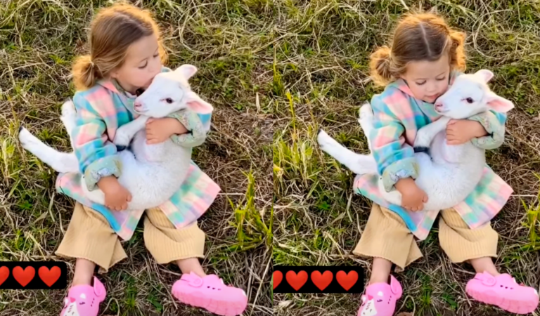 A Heartwarming Friendship: Cute Babies Embrace Their Lamb Friend