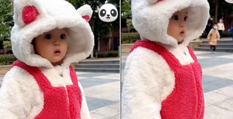 Adorable Little One Dressed as a Panda – Overflowing Cuteness