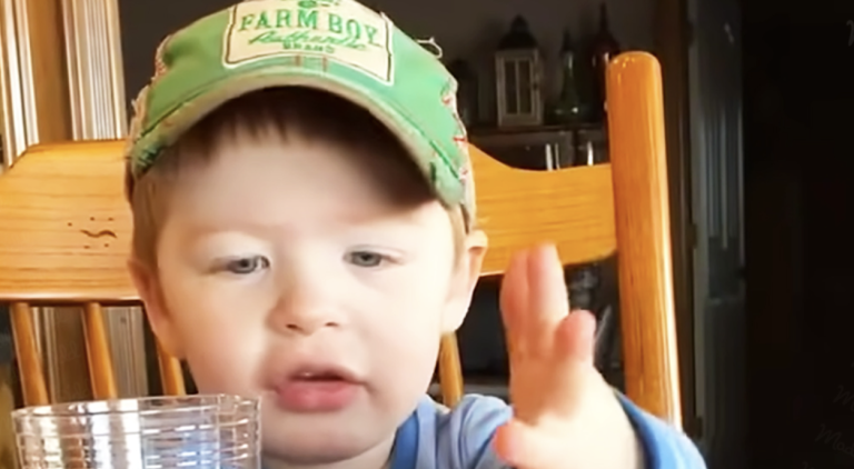 Hilarious toddler shows how to give directions in the country