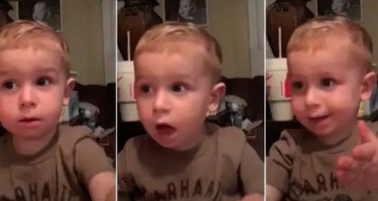 2-Yr-Old Melts Hearts Telling Cow Story With the Best Southern Drawl