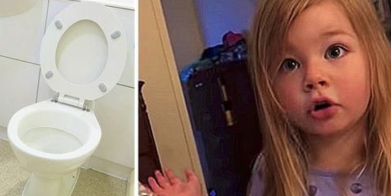 Little Girl Tells Her Dad Off After He Left The Toilet Seat Up Again