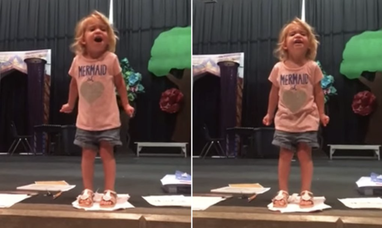 Toddler’s Dramatic Rendition of ABCs Unlike Anything You’ve Heard Before