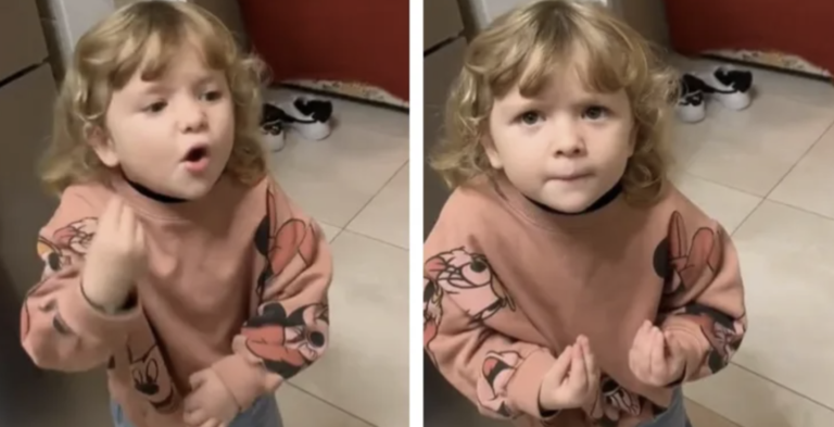 Fired Up Little Italian Girl Using Her Hands To Tell Story Could Not Be Cuter.