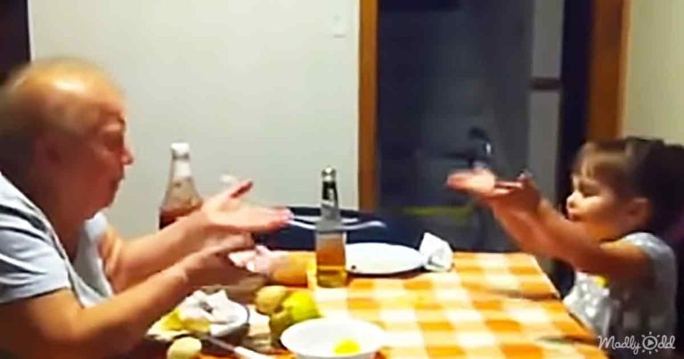 Video captures toddler having an adorable ‘conversation’ with her grandmother