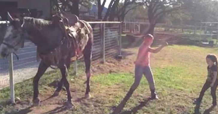 Little Girls Are Dancing To “Watch Me” When Their Horse Joins In And Steals The Show