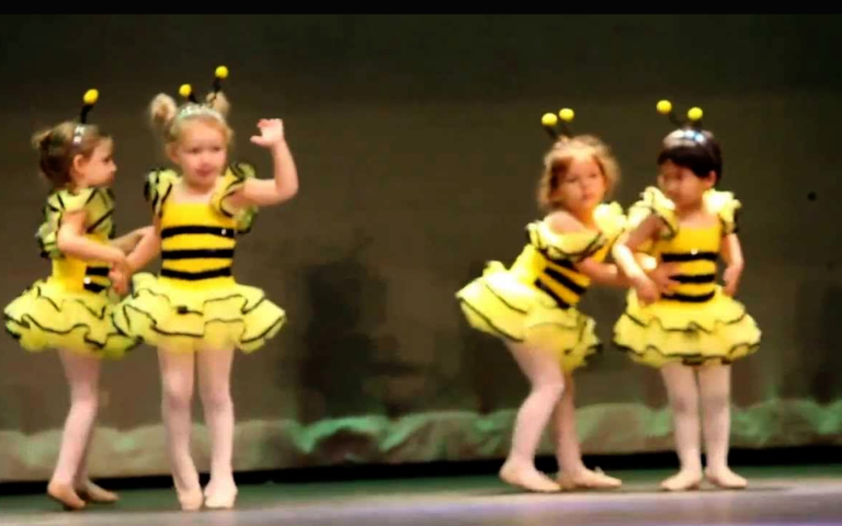 Baby Bee Dance Recital Brings Laughter And Cuteness To The Stage