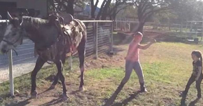 Horse Joins Girls For Dance Routine