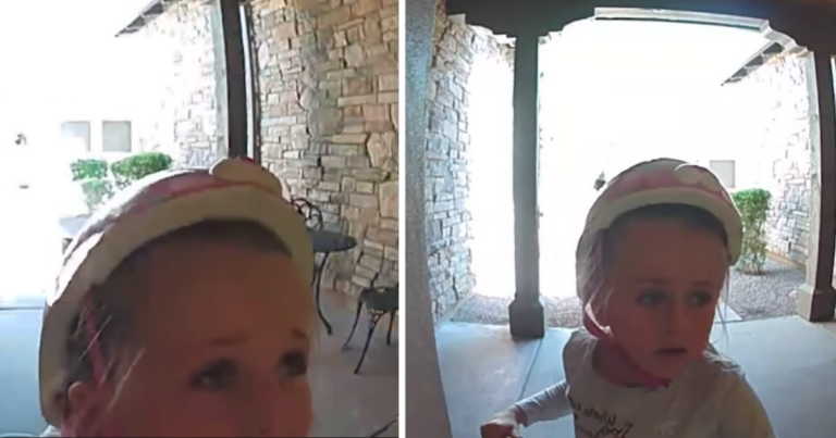 7-year-old girl pleads for help in neighbor’s door cam after stumbling upon a wild bobcat