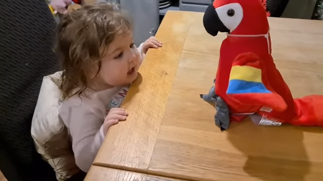 Adorable Baby Interviews a Parrot – Wait Till You See the Parrot’s Response