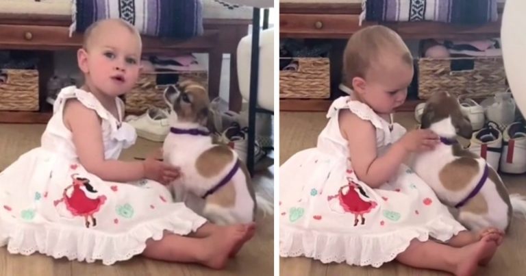 A young girl cuddles a puppy suffering from separation anxiety.