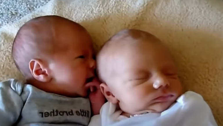 Twins Babies Trying To Kiss Each Other