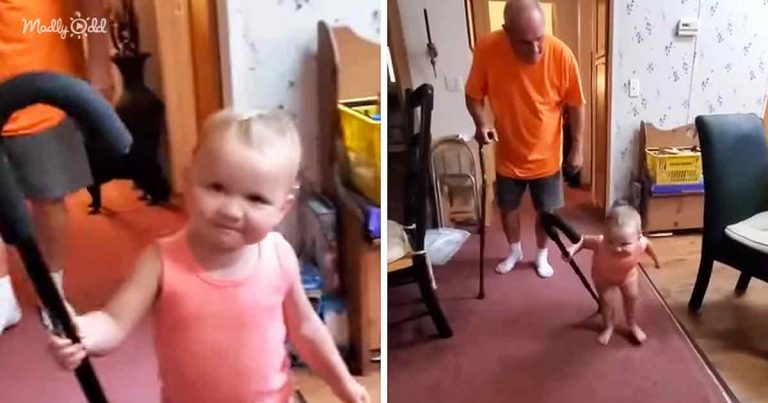 Precious toddler girl adorably copies her Grandpa’s walk