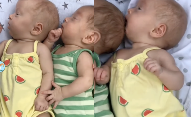 Sweet Dreams: The Irresistible Charm Of Sleeping Triplets