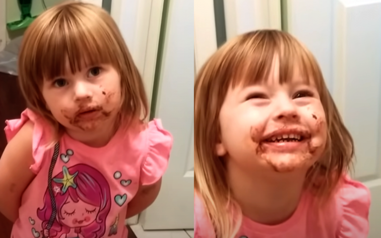 The Little Girl Refuses To Admit She Ate The Cake, But Her Chocolate Covered Face Tells A Different Story.