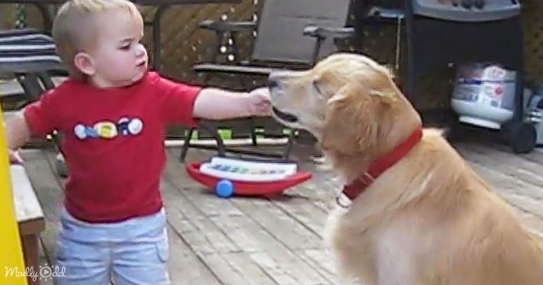 Watch a Sweet Toddler Share His Snacks with a Visually Impaired Dog