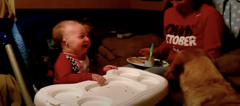 Dog Tries to Show Baby That Green Beans are Good, But Baby Can’t Stop Laughing