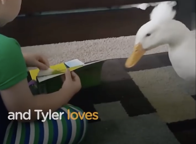 Boy and His Best Friends Have Fun Together