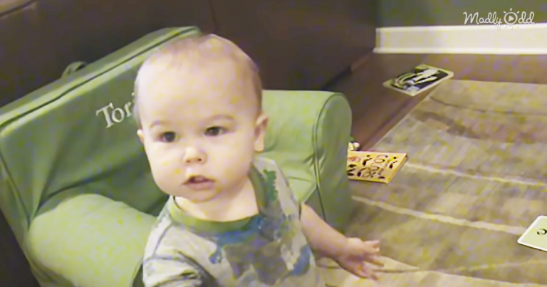 You Will Genuinely Be Astounded at The Reading Ability of This Toddler – Incredible