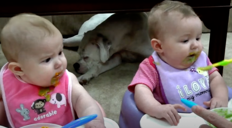 The twins’ reactions are hilarious when they try baby food for the first time