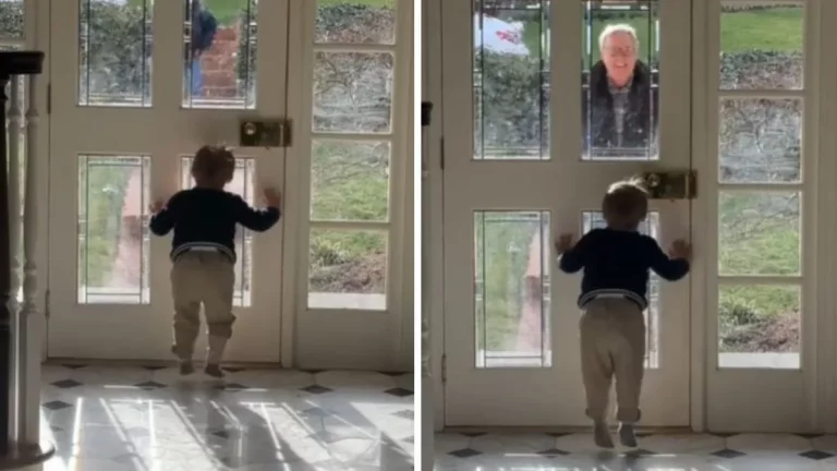 Toddler Has Sweetest Reaction To Grandpa’s Visits Every Week