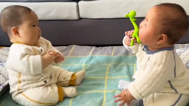 Cute Twin Brothers Moment: Brother Also Wants His Twin Brother’S Toys!