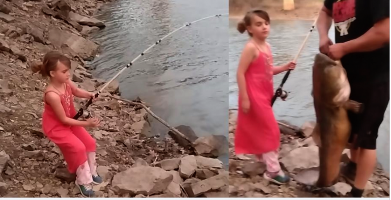 The Little Girl Caught A Catfish Bigger Than Her