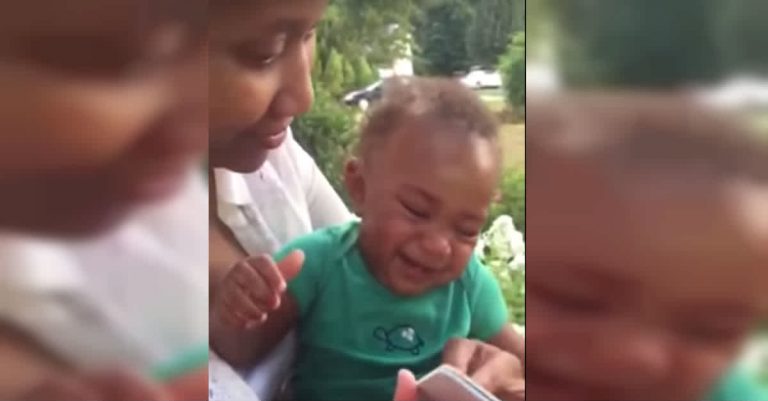 Baby Hysterically Laughs When Mom Makes Animal Noises