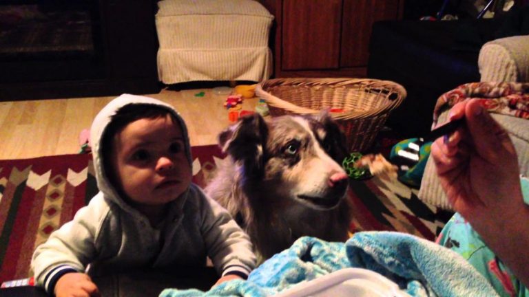 She Wants Her Baby to Say ‘Mama.’ But The Dog Does This Instead and Nobody Can Stop Laughing!