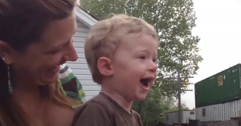 Toddler Is Enthralled When He Sees His Dad Driving The Passing Train