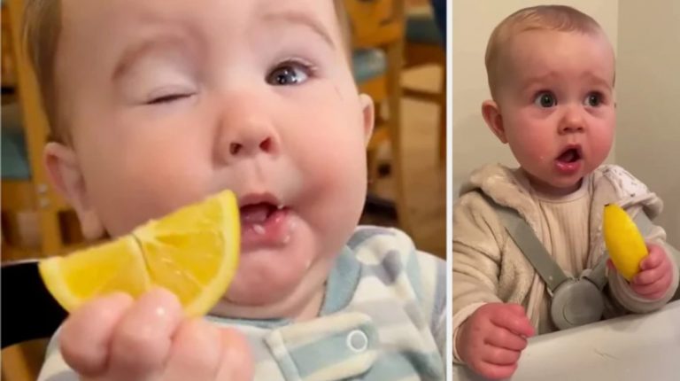 These videos of babies eating lemons will sure to make you laugh