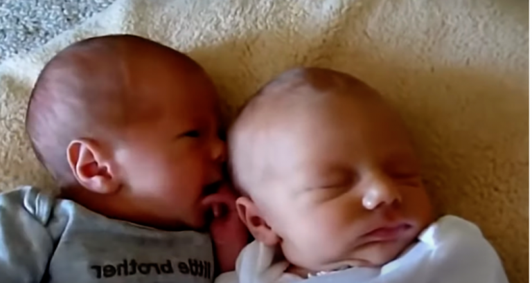 Twins Babies Trying To Kiss Each Other