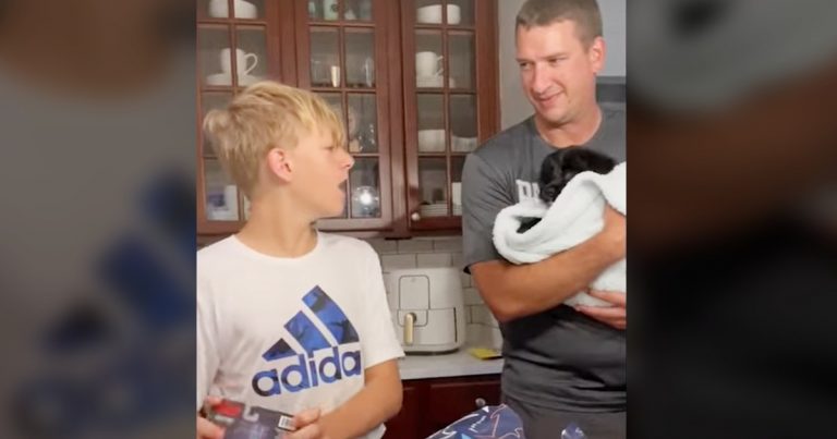 Sweet boy can’t contain emotions when ‘lifelong dream’ of getting dog is fulfilled