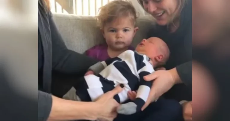 Toddler meets new baby brother and her reaction wins the internet