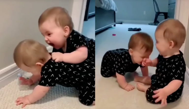 Too much cuteness in this video. Double the Fun: Twins Engaging in Playful Sibling Rivalry