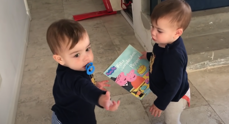 Adorable Twins’ Playful Tussle: A Must-Watch Cute Fight!