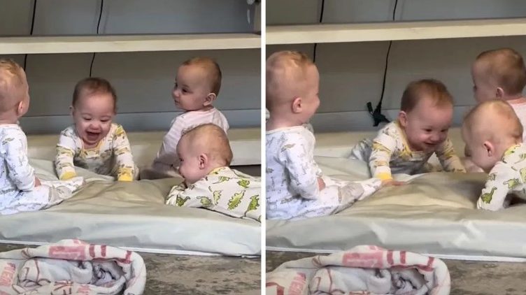 Rare Quadruplets Steal the Internet with Adorable Baby Meeting