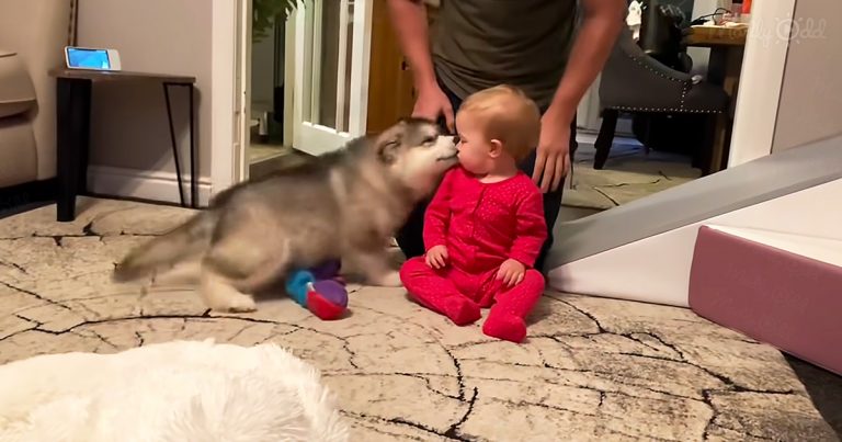 Watch ten month old baby girl grow into a toddler with her puppy by her side