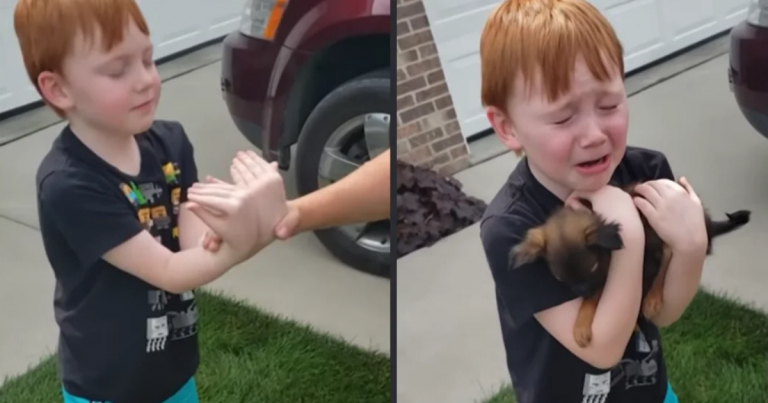 6-Year-old starts saving to buy a puppy, then grandparents tell him to hold out his hands